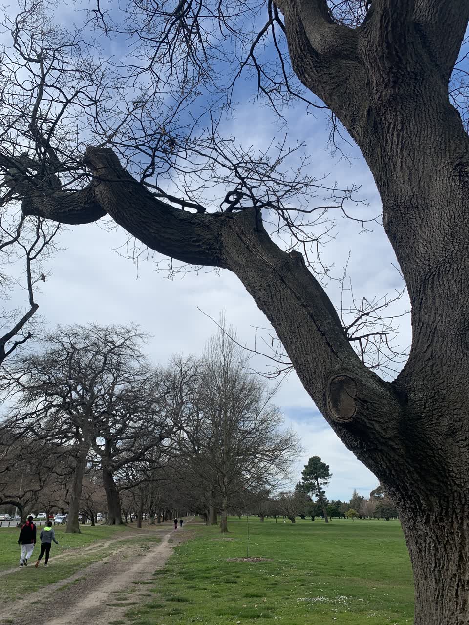 The photograph attached to this parks report