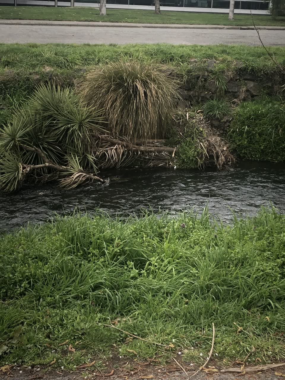 The photograph attached to this wastewater/stormwater report