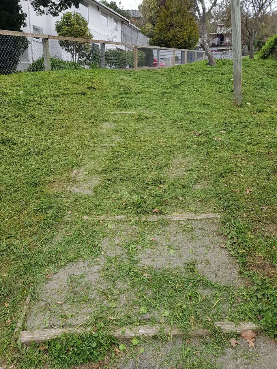 The photograph attached to this parks report