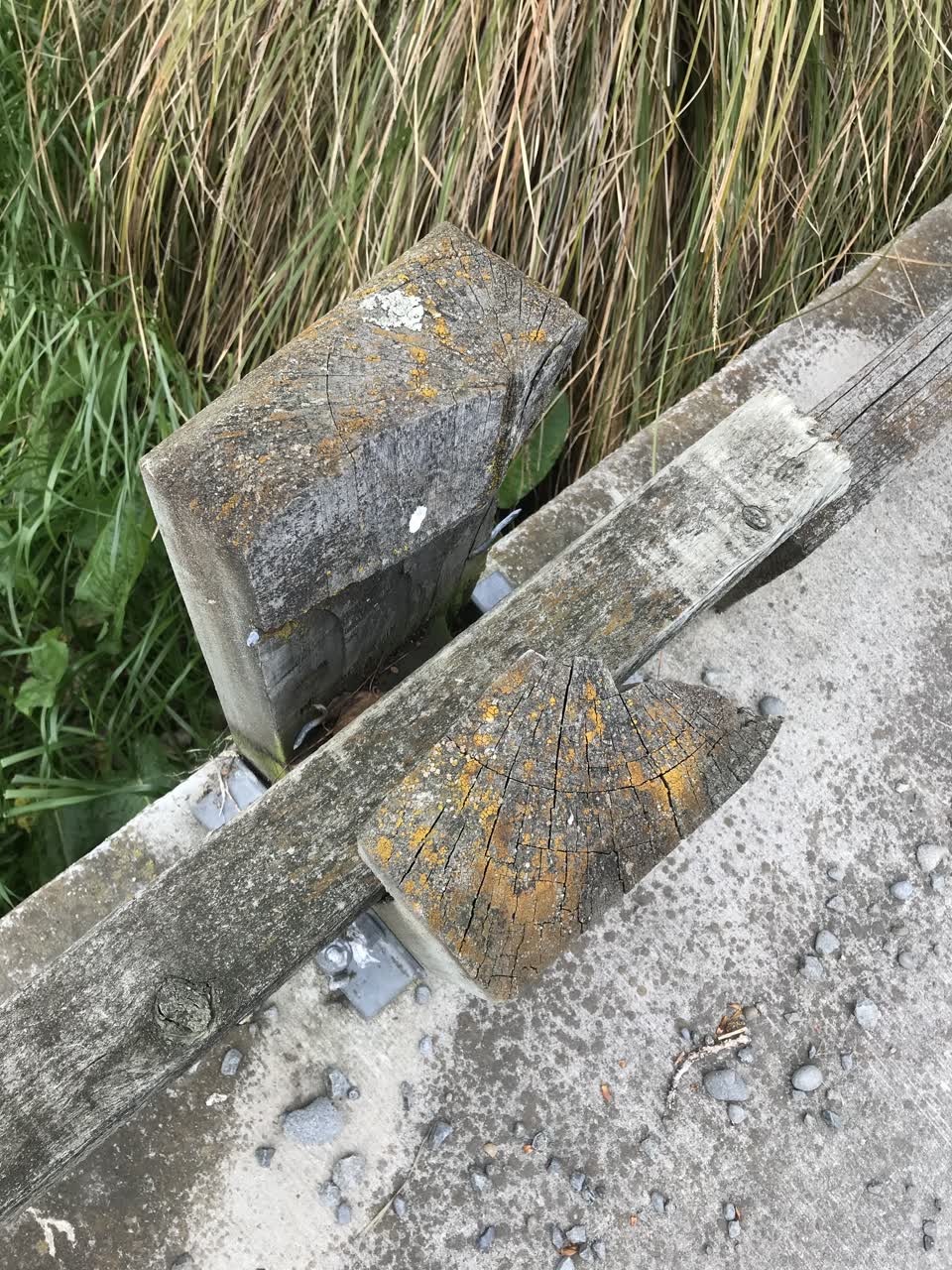The photograph attached to this parks report