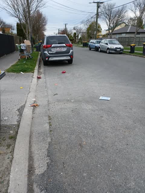 Rubbish/Recycling, a report photo