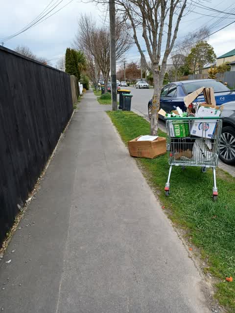 Rubbish/Recycling — a report photo