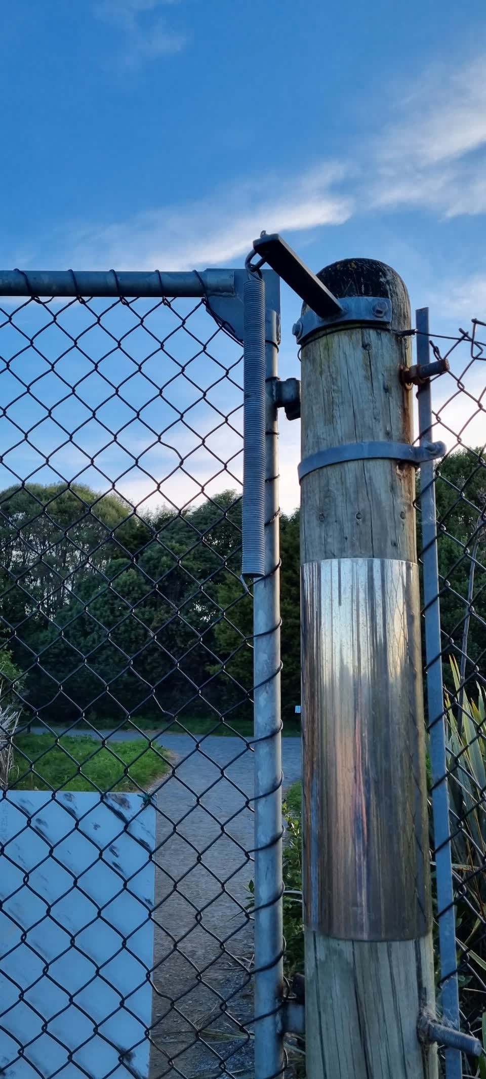 The photograph attached to this parks report
