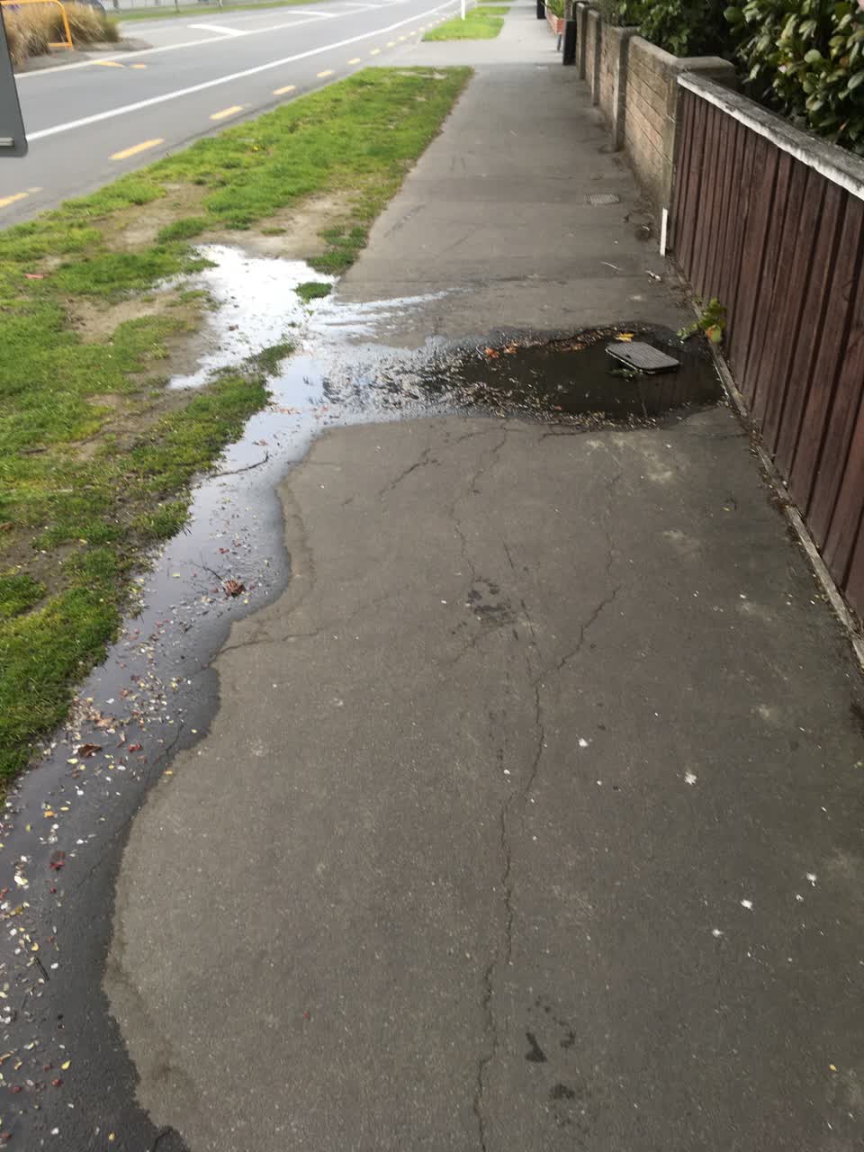The photograph attached to this water leak report