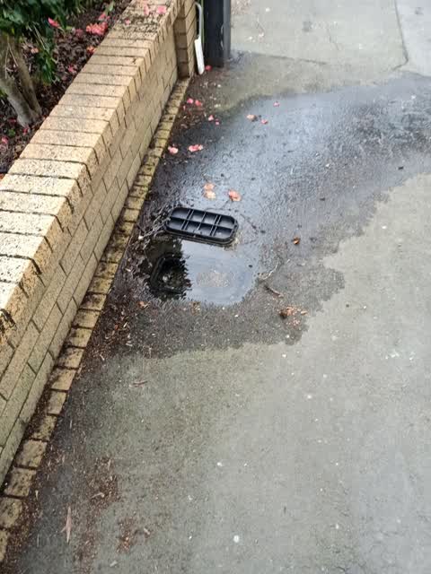 Water Leak, a report photo