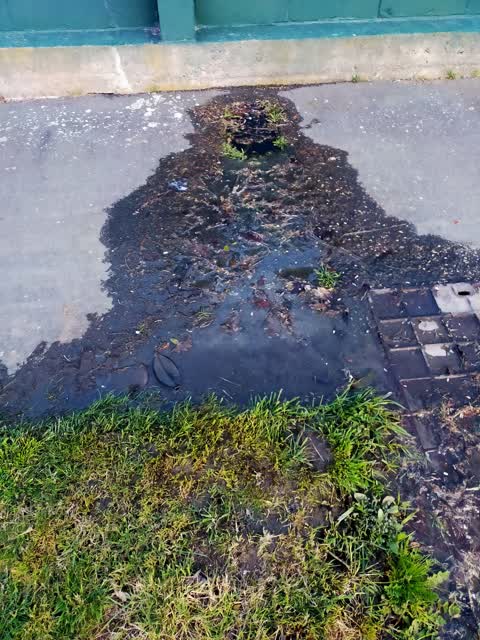 Water Leak, a report photo
