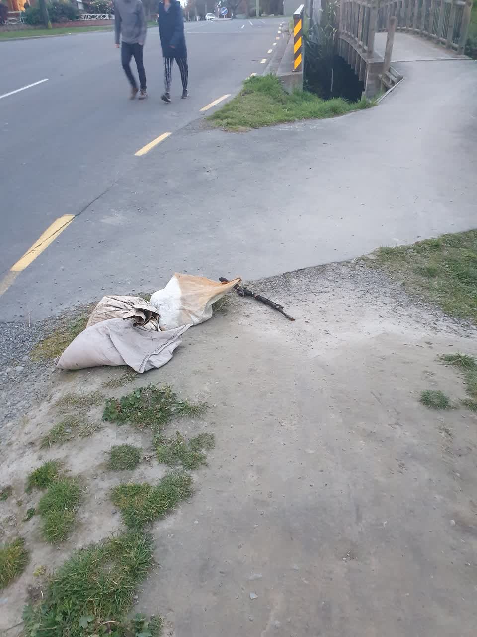 The photograph attached to this rubbish/recycling report