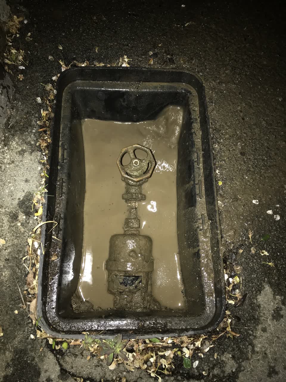 The photograph attached to this water leak report