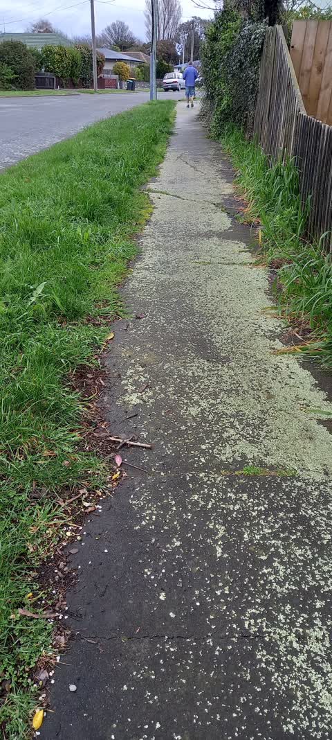 Roading/Streets, a report photo