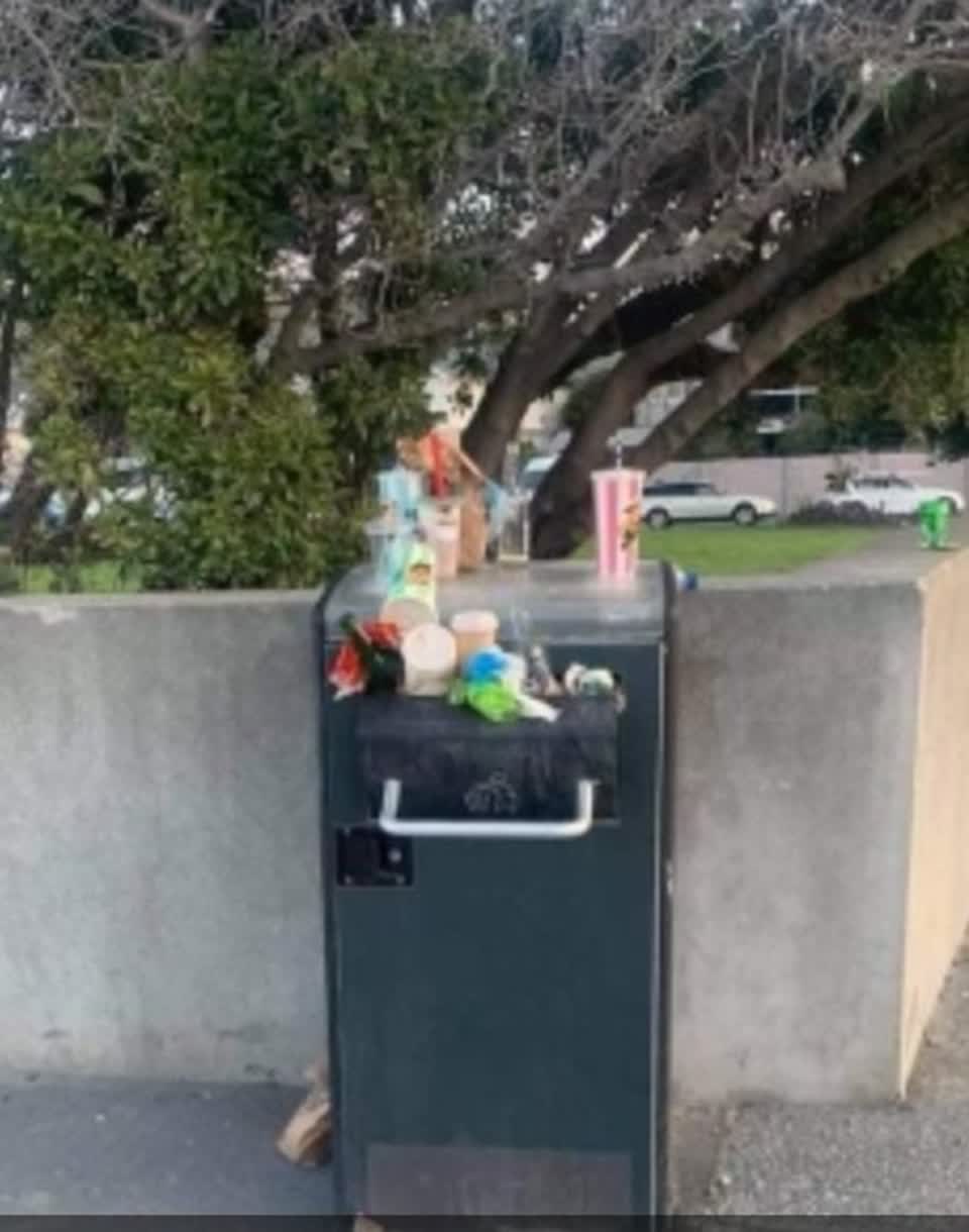 The photograph attached to this rubbish/recycling report
