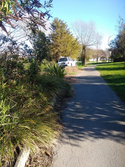 Roading/Streets, a report photo