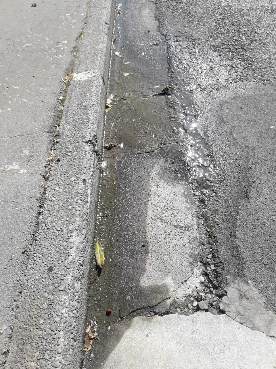 The photograph attached to this wastewater/stormwater report