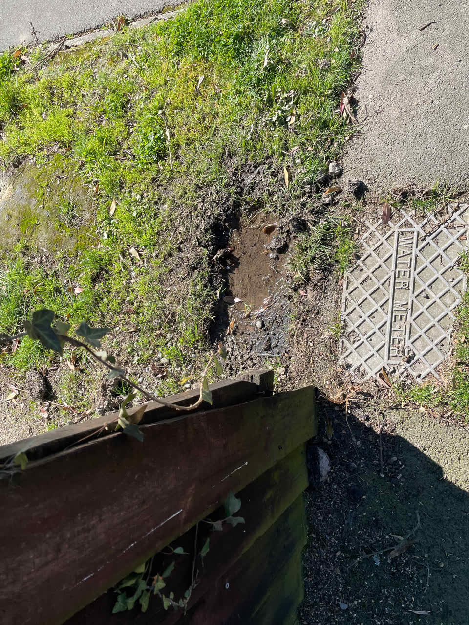 The photograph attached to this water leak report