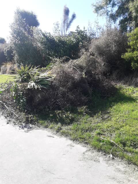 Parks — a report photo