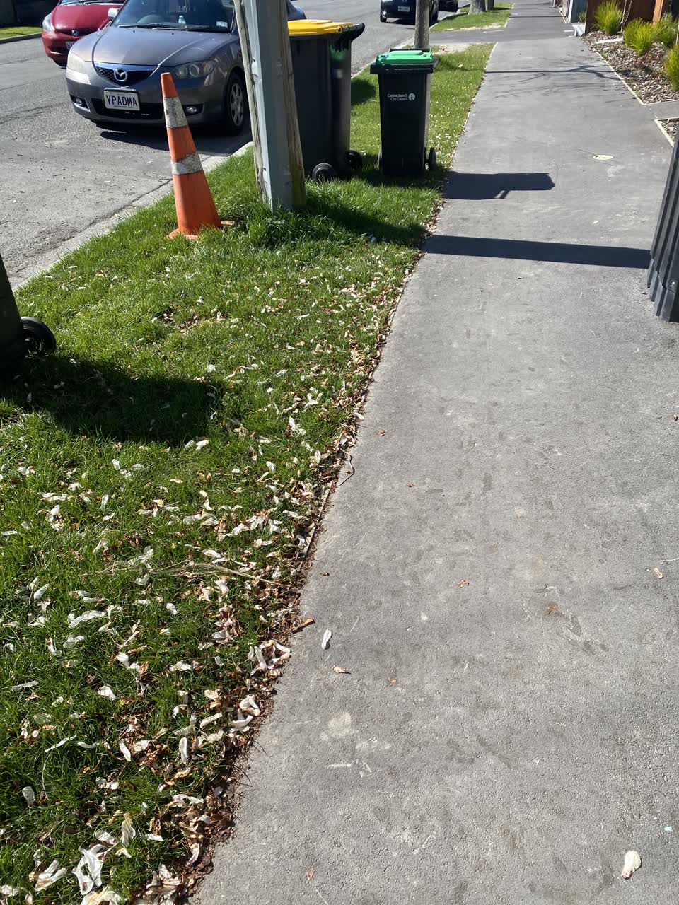The photograph attached to this rubbish/recycling report