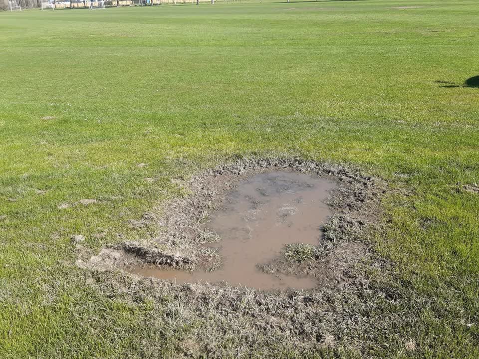 The photograph attached to this parks report