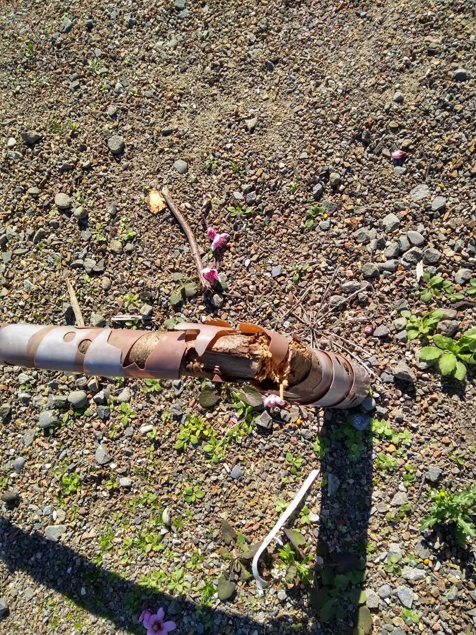 The photograph attached to this parks report