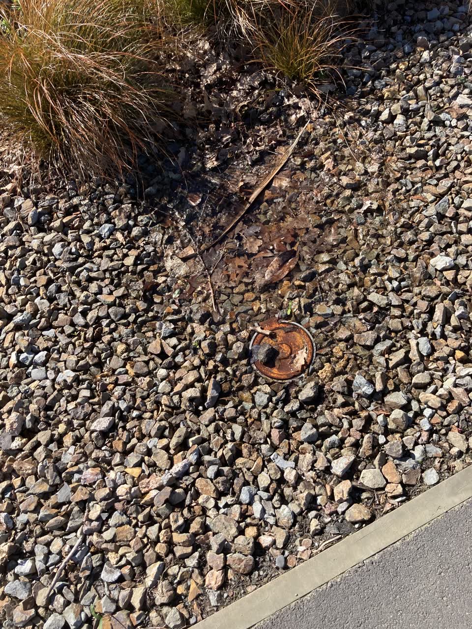 The photograph attached to this water leak report