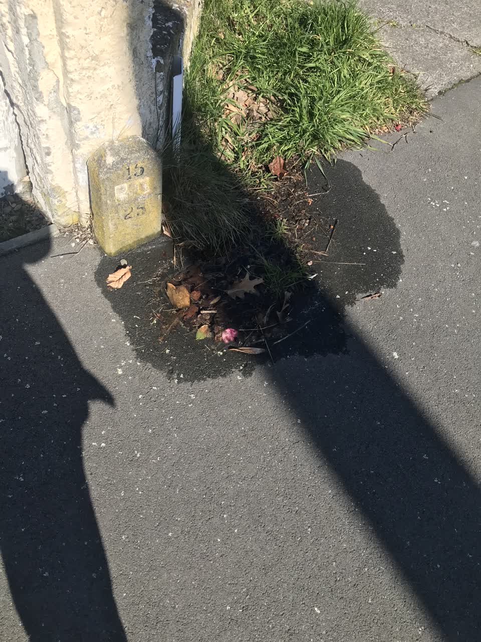 The photograph attached to this water leak report