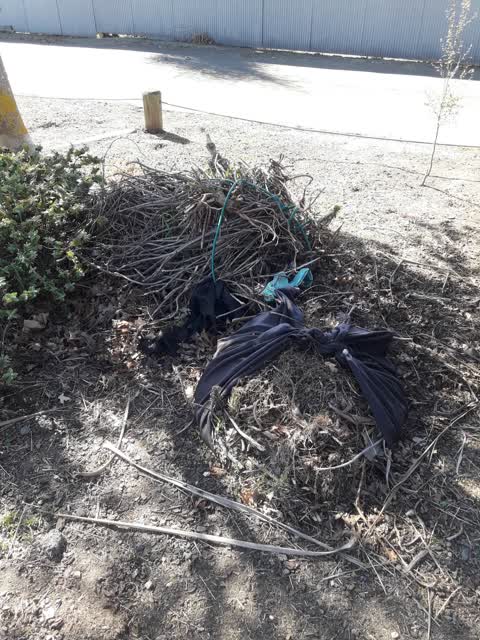 Parks, a report photo