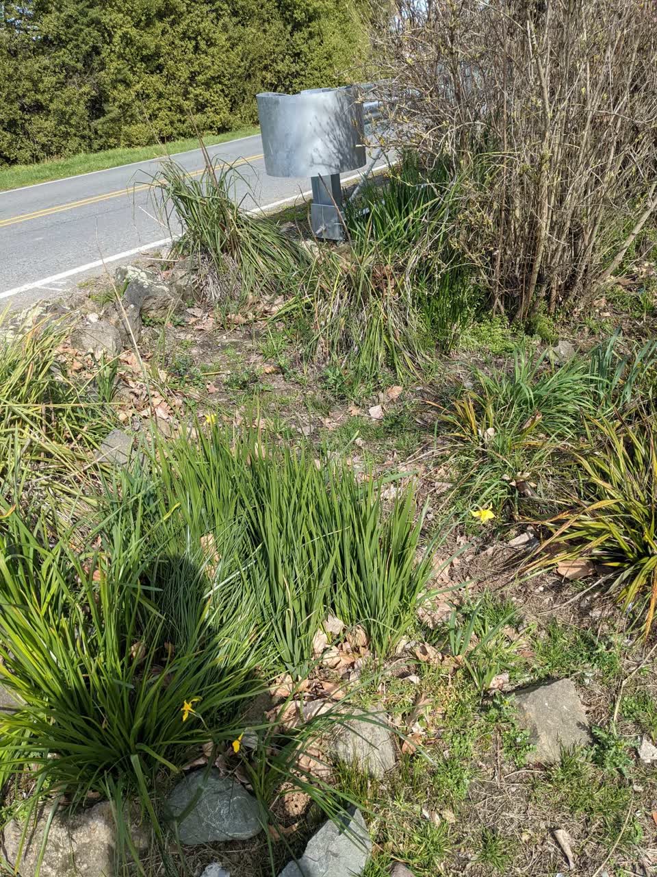The photograph attached to this parks report