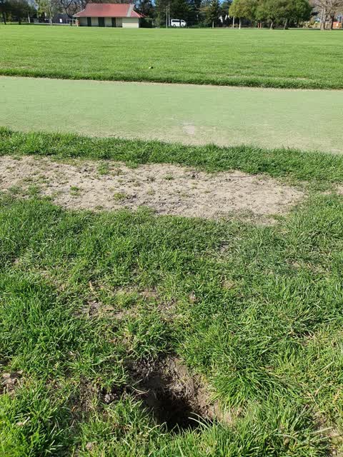 Parks, a report photo