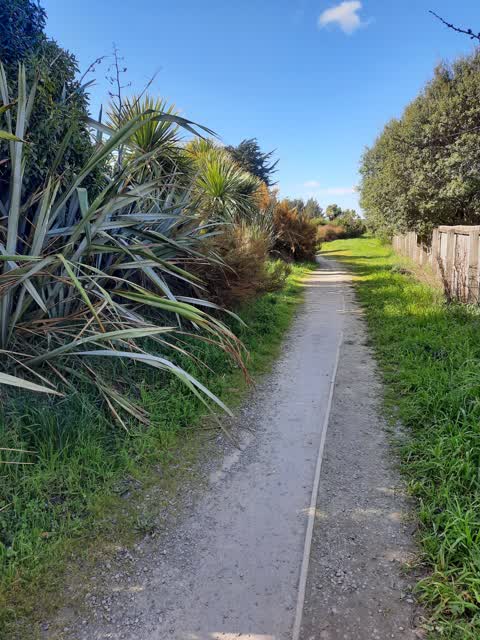 Roading/Streets, a report photo