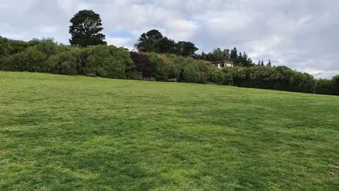 Parks, a report photo