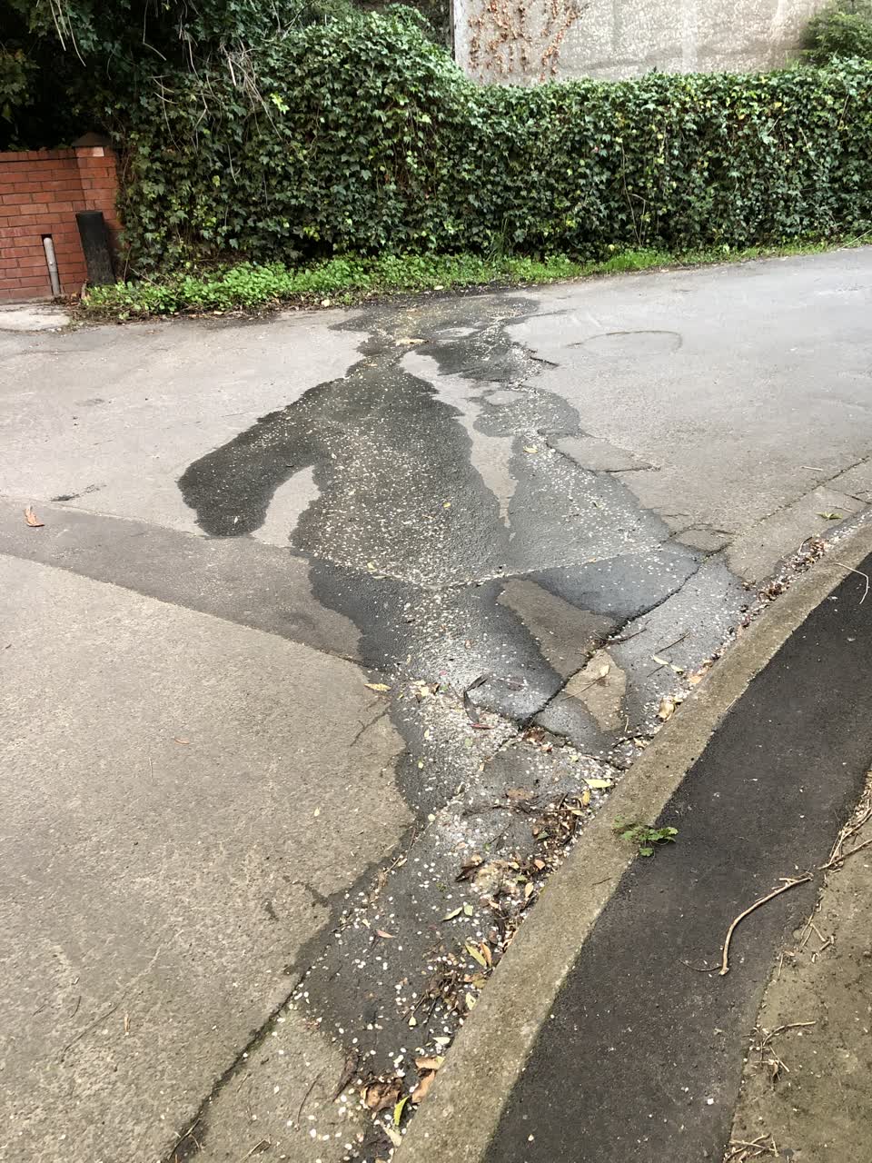 The photograph attached to this water supply report