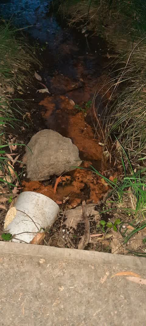 Wastewater/Stormwater, a report photo