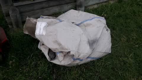 Parks, a report photo