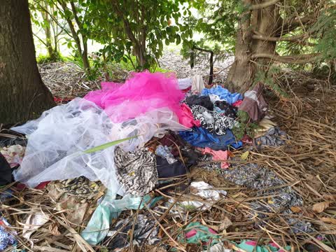 Parks, a report photo