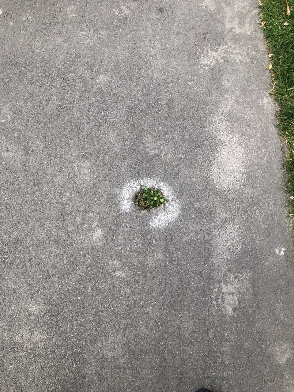 The photograph attached to this roading/streets report