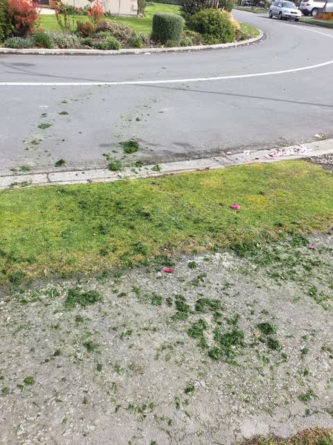 Parks — a report photo