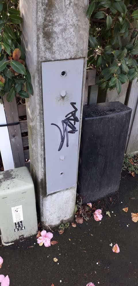 Graffiti, a report photo