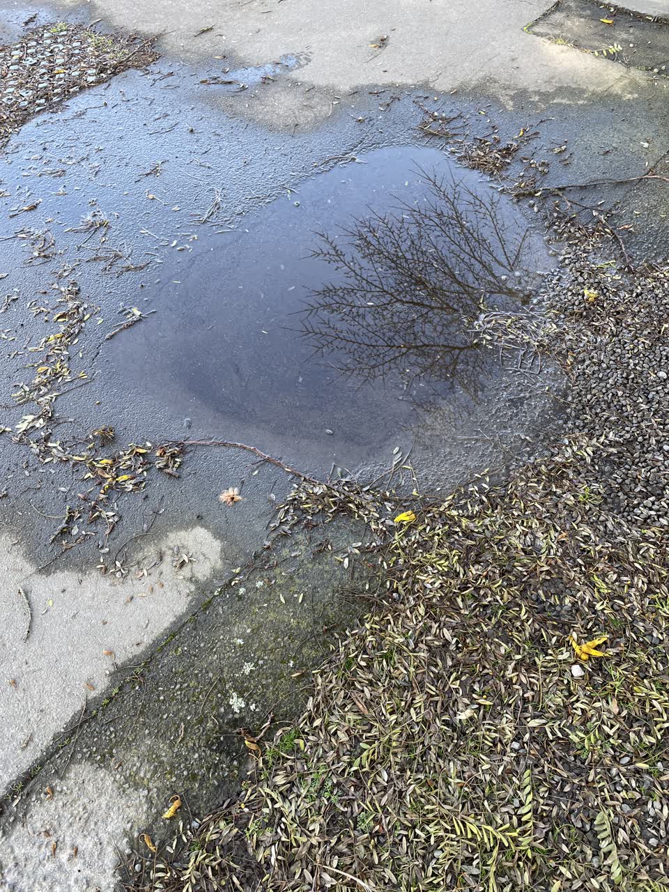 The photograph attached to this roading/streets report