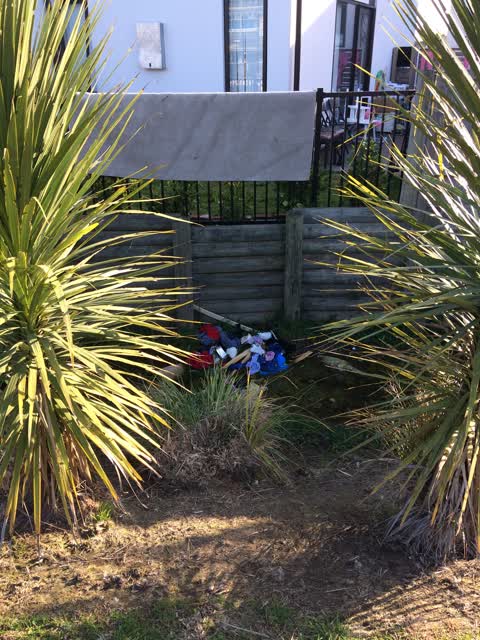 Rubbish/Recycling, a report photo