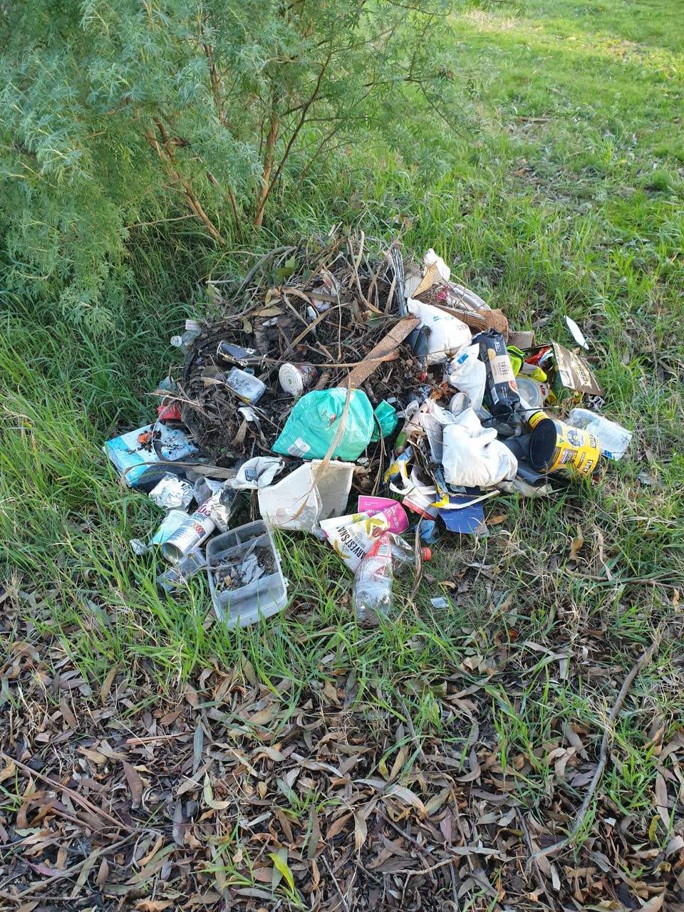 The photograph attached to this rubbish/recycling report