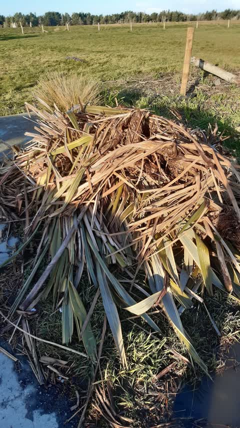 Rubbish/Recycling — a report photo
