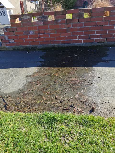 Sewer - Leak / Blockage, a report photo