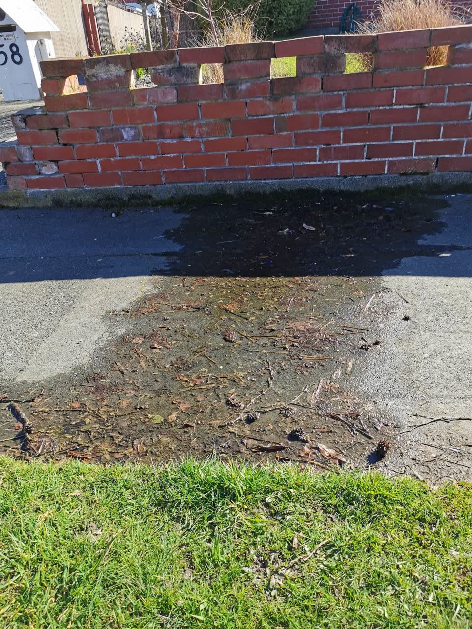 The photograph attached to this sewer - leak / blockage report