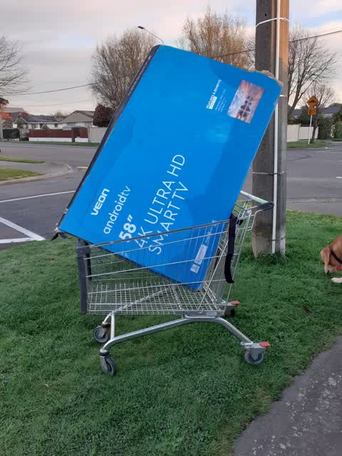 Rubbish/Recycling, a report photo