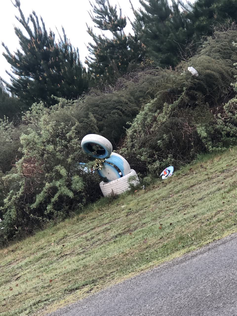The photograph attached to this rubbish/recycling report