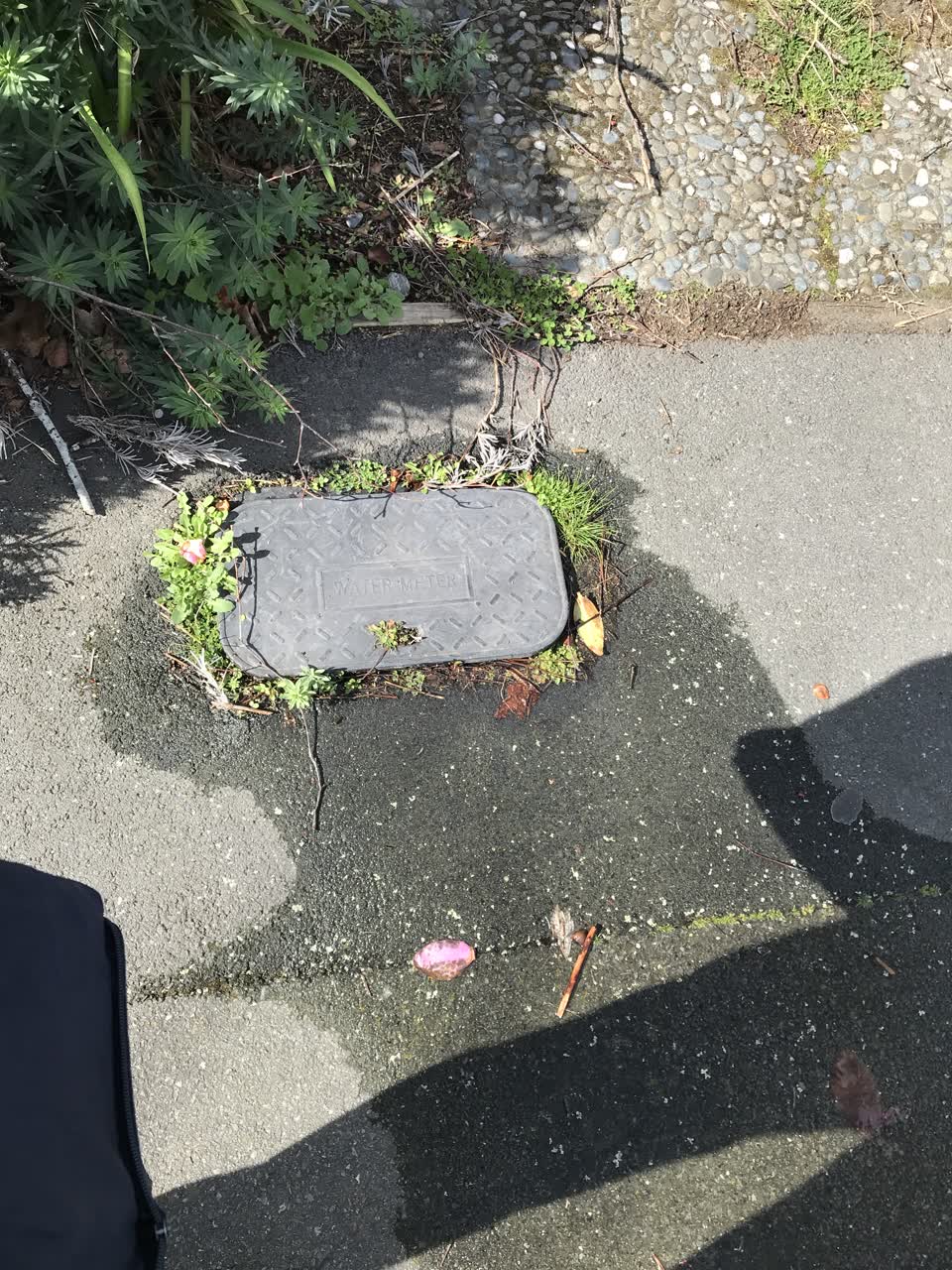 The photograph attached to this water leak report