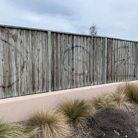 Graffiti, a report photo