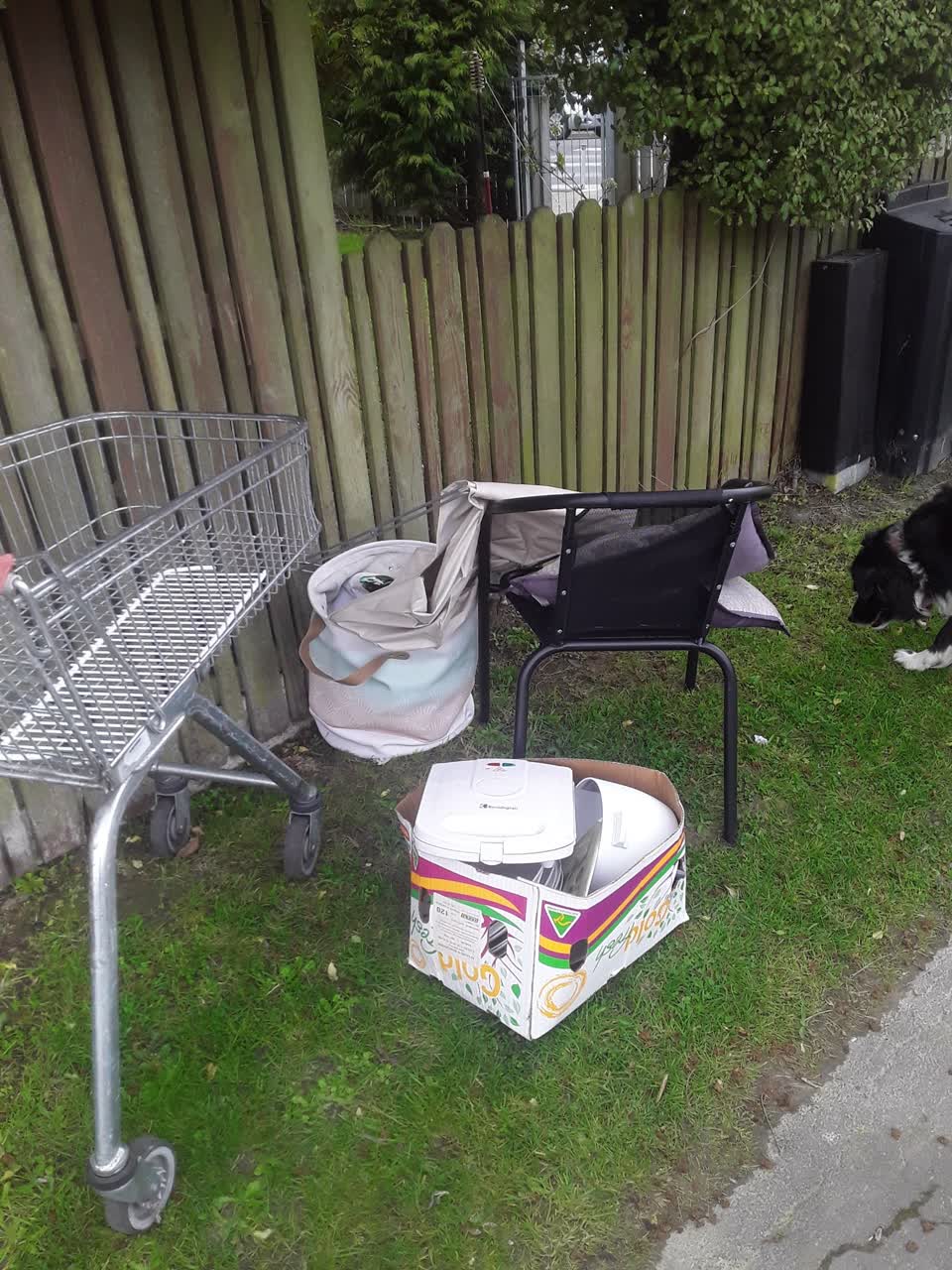 The photograph attached to this rubbish/recycling report