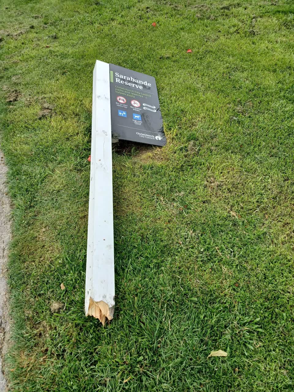 The photograph attached to this parks report