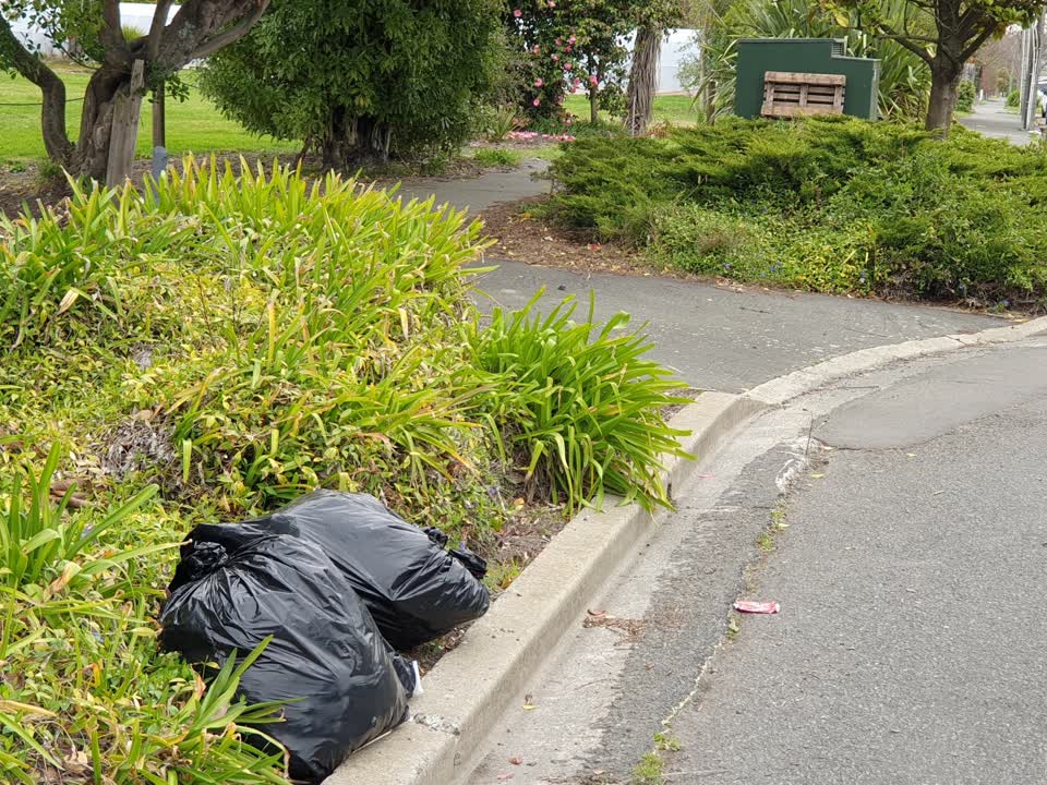 The photograph attached to this rubbish/recycling report