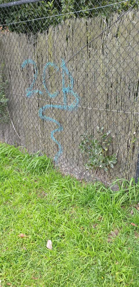 Graffiti — a report photo