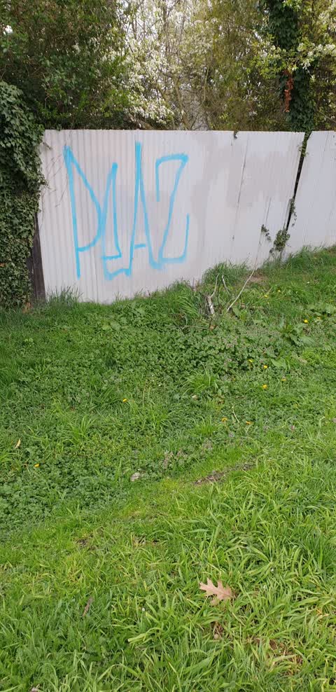 Graffiti — a report photo
